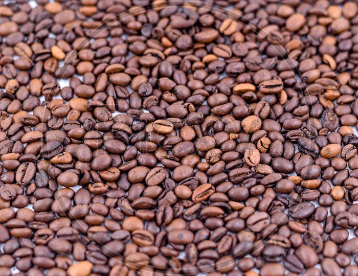 Coffee Beans Filled Background or Scattered Coffee Beans on a Table