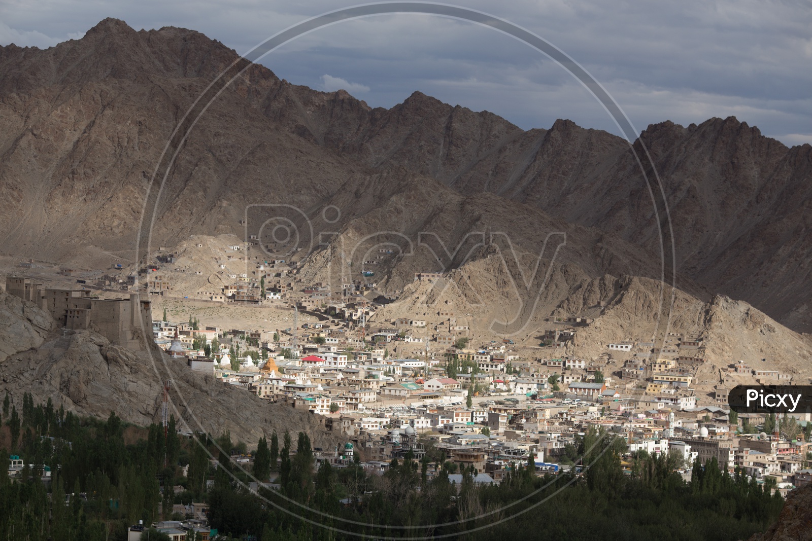 Landscape of Leh Mountains with houses in the foreground