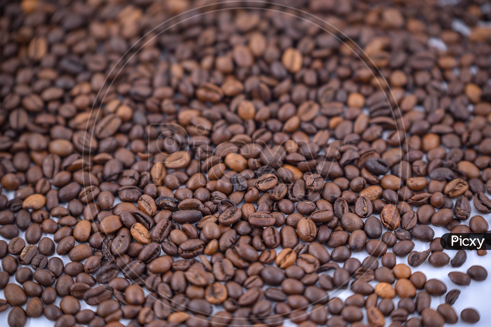 Coffee Beans  Filled Background  Or Coffee Beans Scattered On Table