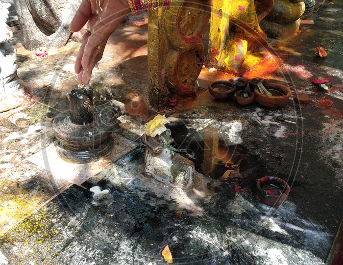 Hindu Devotees Perforrming Pooja Or Abhishekam  To Hindu Lord Shiva Idol