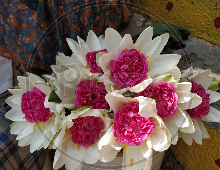 Rose Flower With Lotus , A fusion Flower  in Vendor Stall