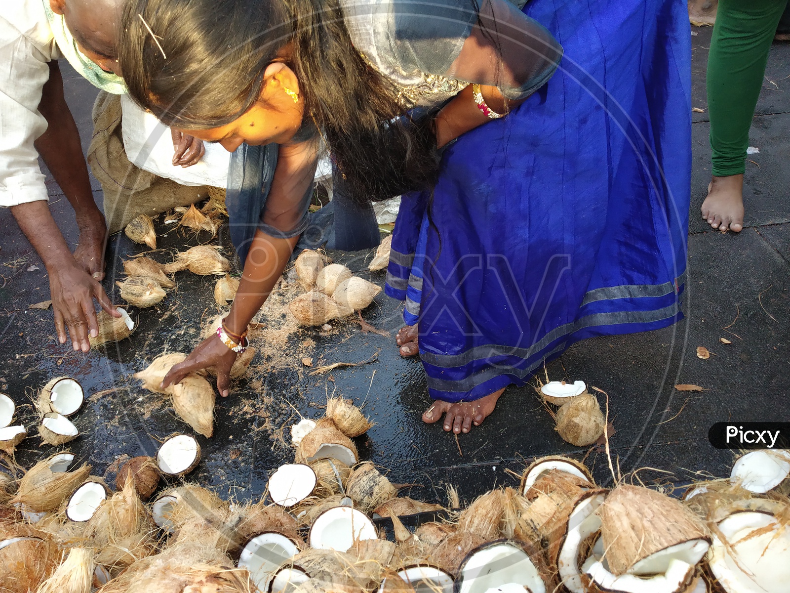 Hindu Devotees Breaking Dried Coconuts At Temples