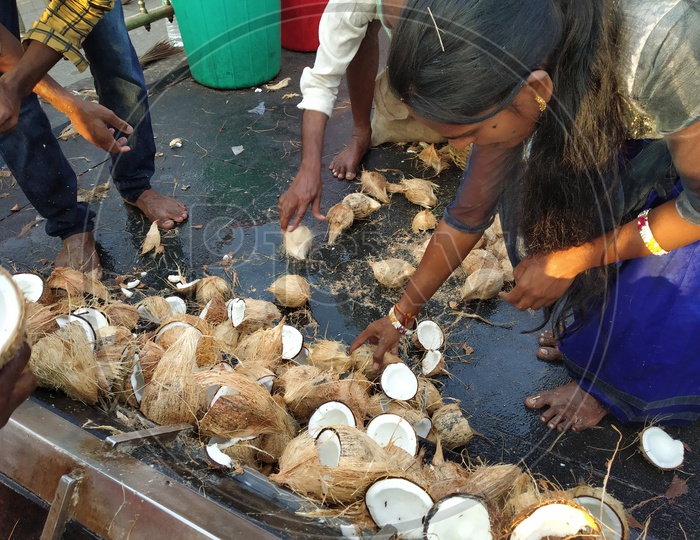 Hindu Devotees Breaking Dried Coconuts At Hindu  Temples