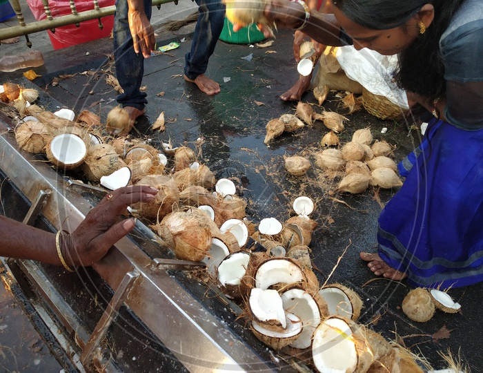 Hindu Devotees Breaking Dried Coconuts At Hindu  Temples