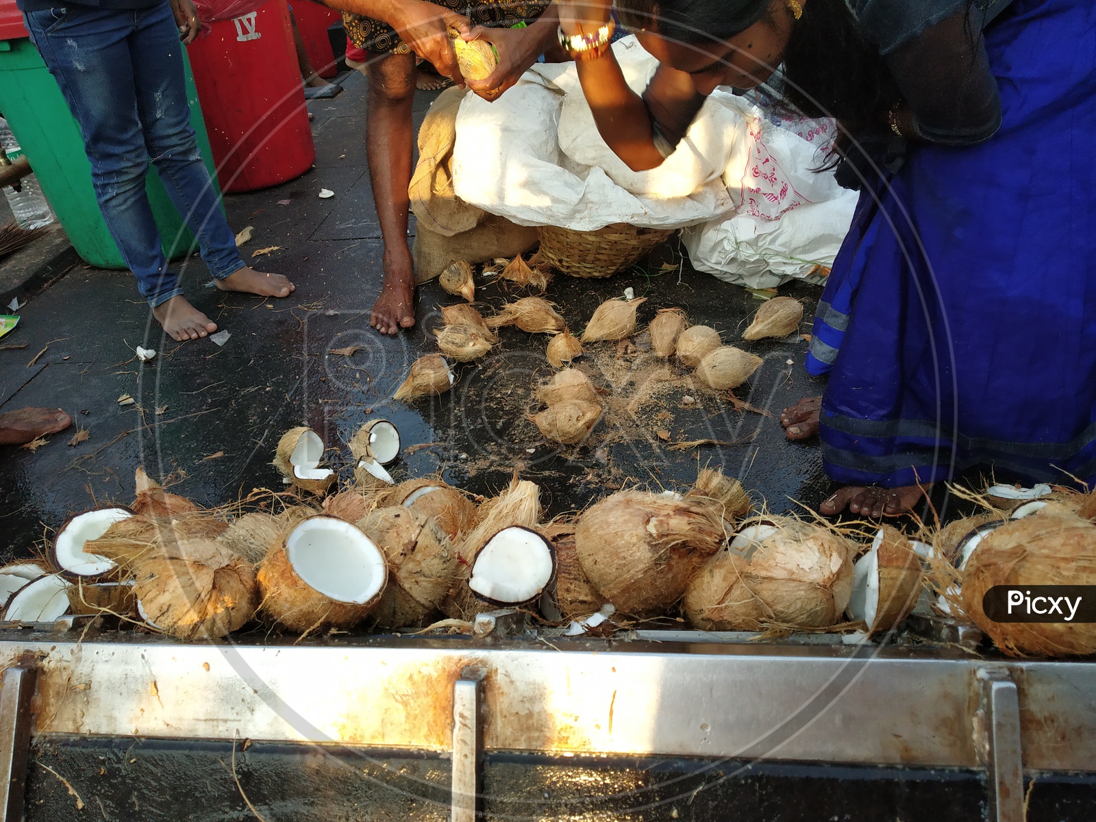 Devotees Breaking Dried Coconuts At Hindu Temples