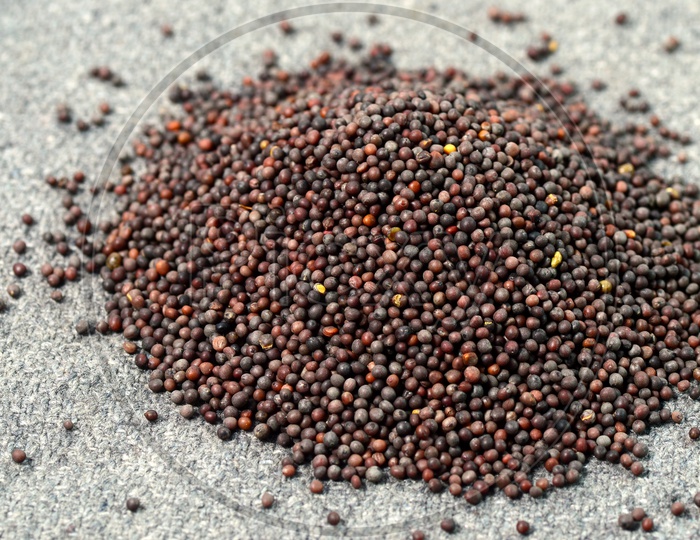 Indian Brown Mustard Seeds Pile on a Sackcloth  Background