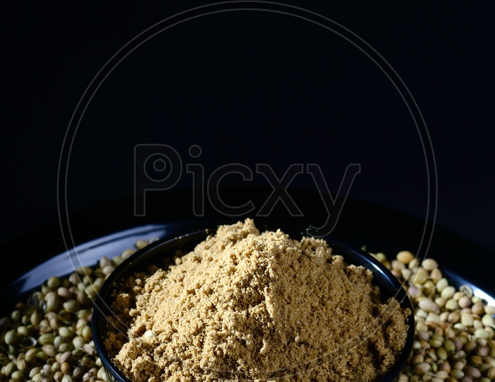 Coriander seeds and Powder on black background