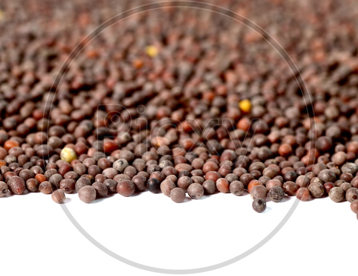 Indian Brown Mustard Seeds Pile on a White  Background