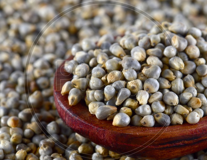 close up of Pearl Millet (Bajra) with wooden spoon.