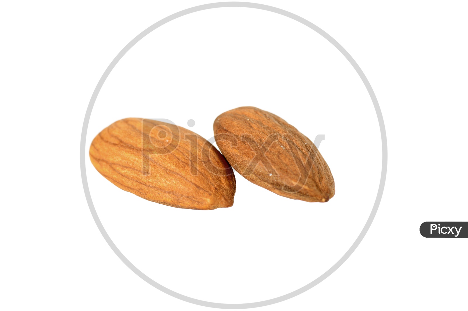 A Couple Of  Almond Or Badam Nuts on An Isolated White Background