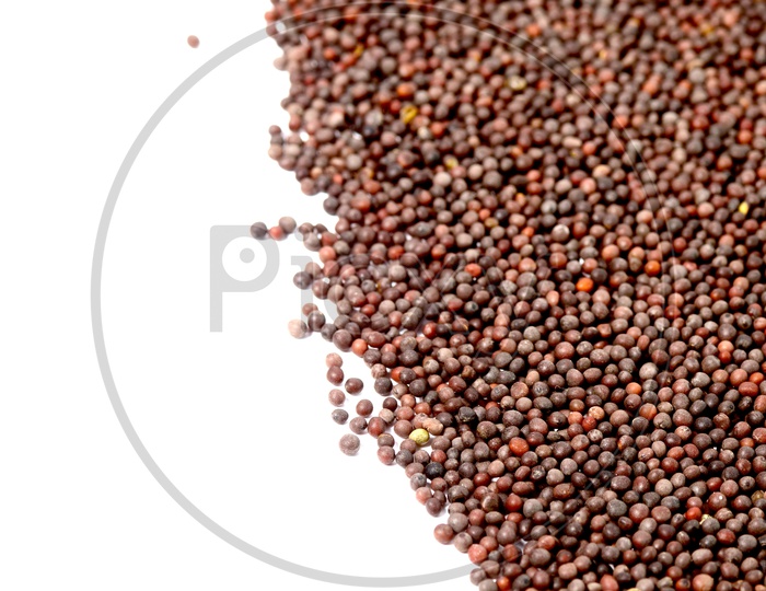 Indian Brown Mustard Seeds Pile on a White  Background