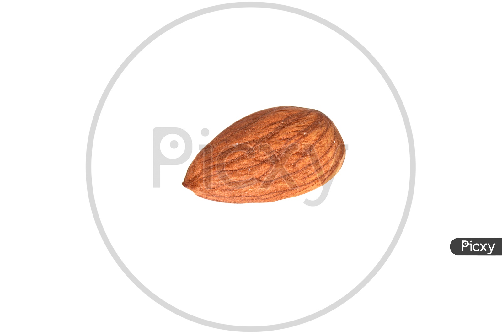 A  Single  Almond Or Badam On an Isolated White Background