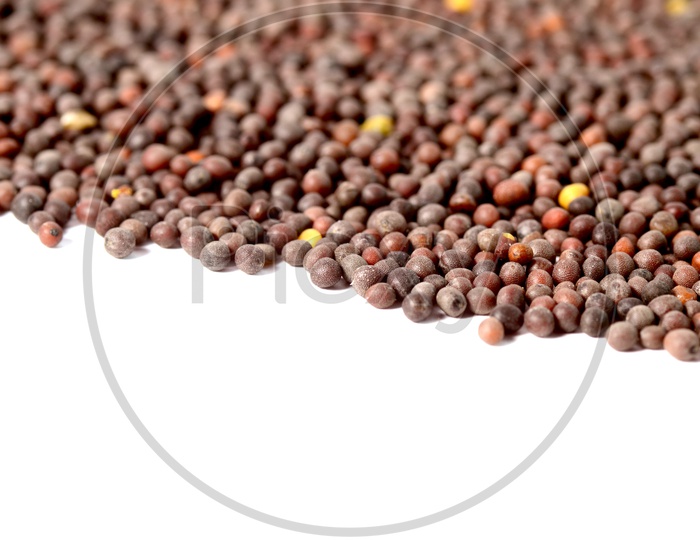 Indian Brown Mustard Seeds Pile on a White Background