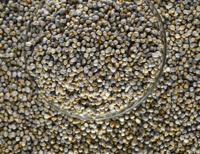 Bajra (Pearl millet) in glass bowl