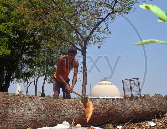 A Man With an Axe Cutting The Tree Wood  at Deekshabhoomi  , A Sacred  Monument  Of Navayana Buddhism