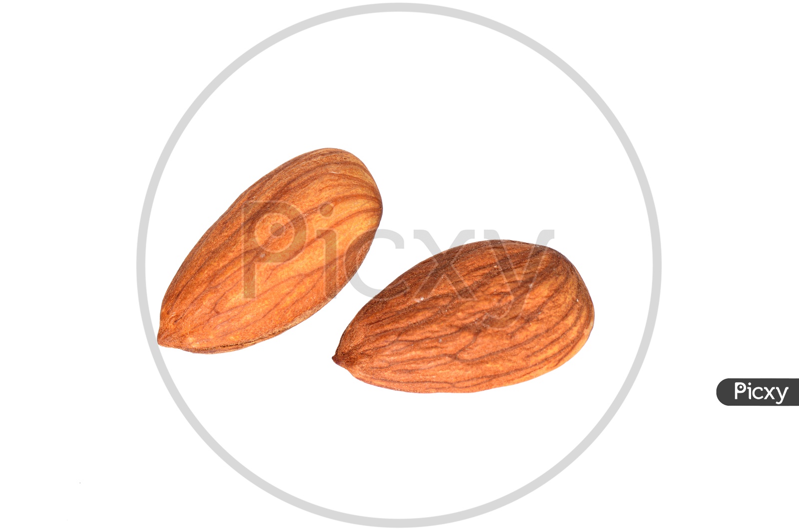 A Couple Of  Almond Or Badam Nuts on An Isolated White Background