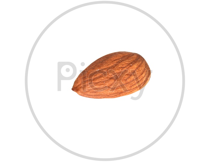 A  Single  Almond Or Badam On an Isolated White Background