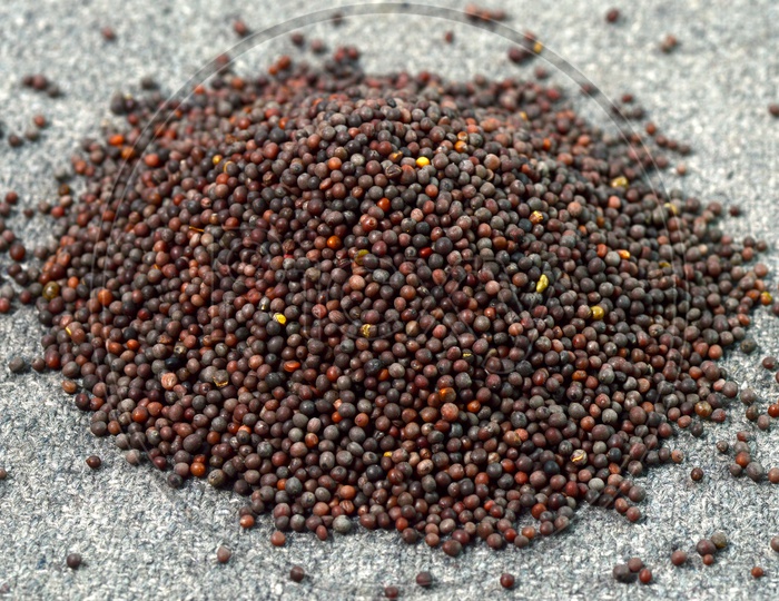 Indian Brown Mustard Seeds Pile on a Sackcloth  Background