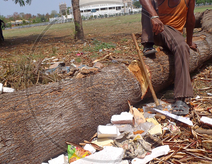 A Man With an Axe Cutting The Tree Wood  at Deekshabhoomi  , A Sacred  Monument  Of Navayana Buddhism