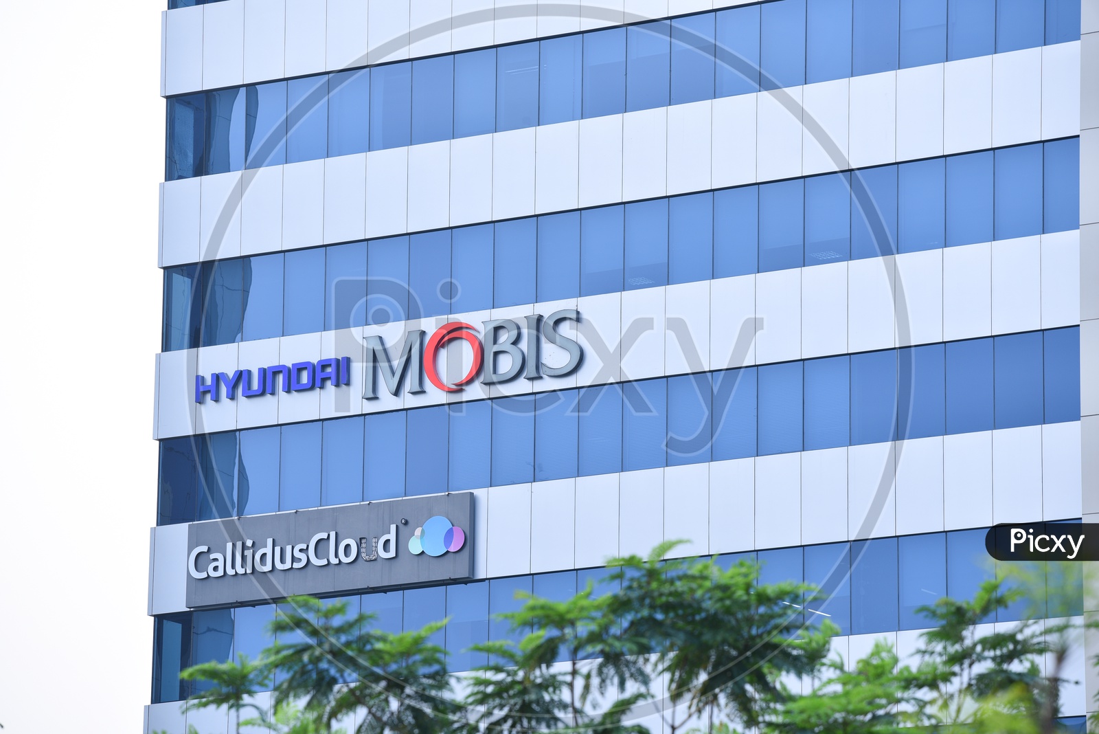 Hyundai , Mobis  and CallidusCloud  Name Board On Corporate Building