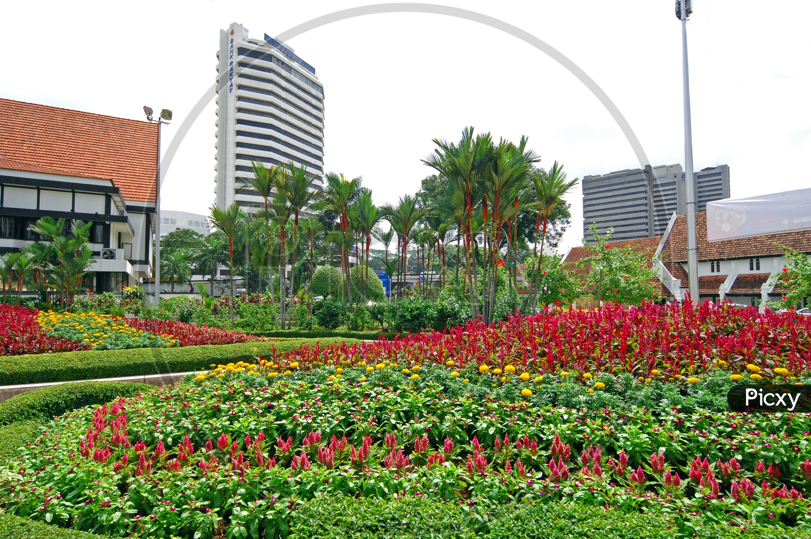 Flower Plants at Merdeka Square Park