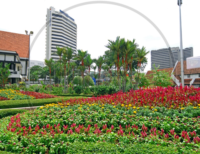 Flower Plants at Merdeka Square Park