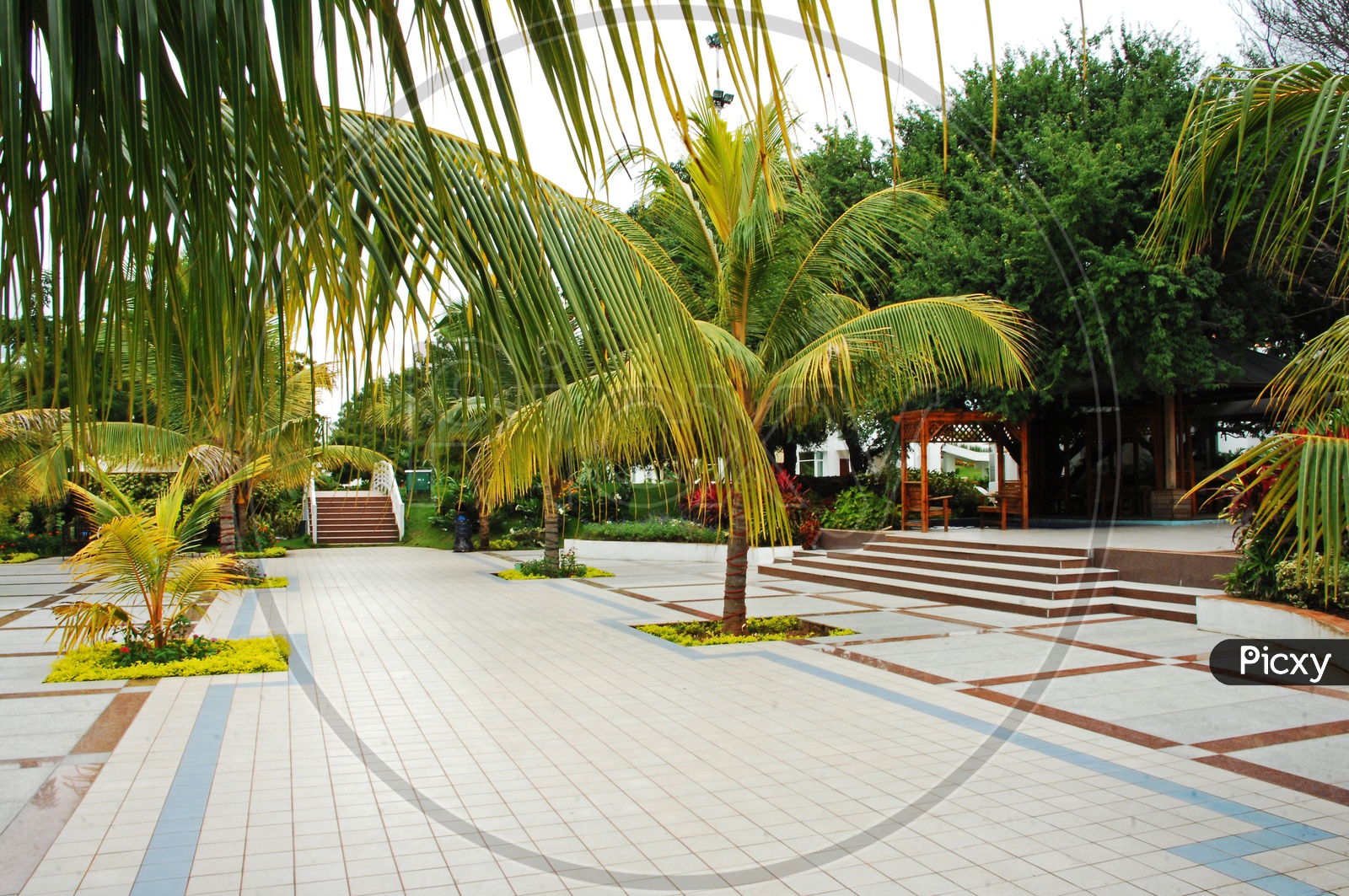 Pathways In a Resort With Coconut Trees On Both Sides