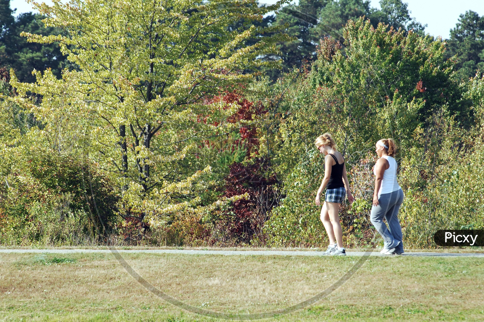 Women jogging in the park