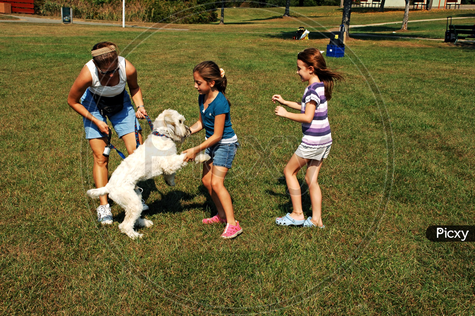 Young girls playing with dog