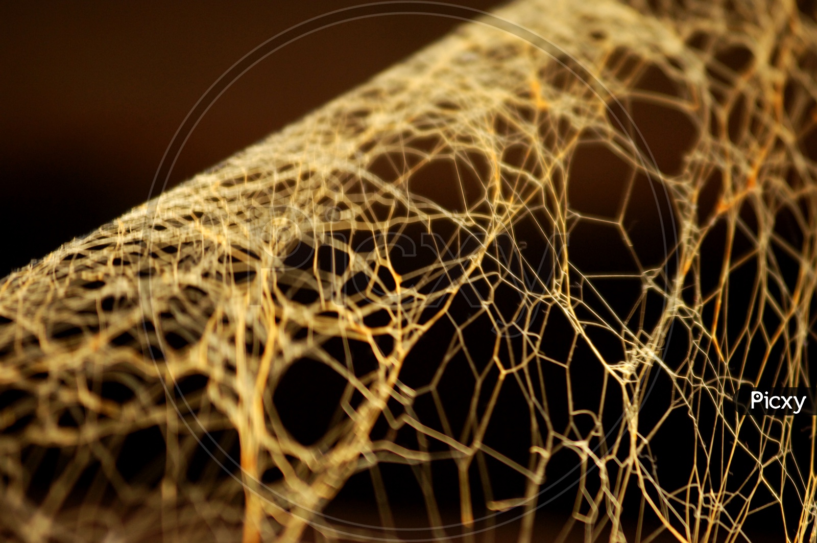 Fibrous Material In Rope Across Width at Esther Nieto blog
