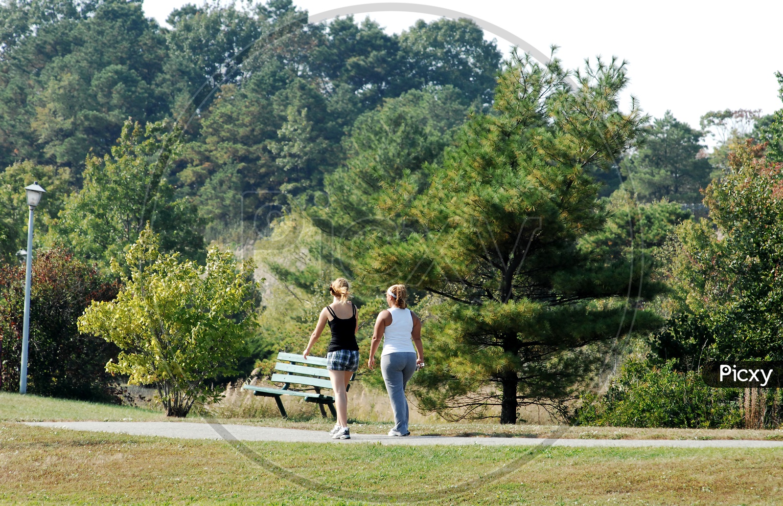 Swiss women jogging in the park