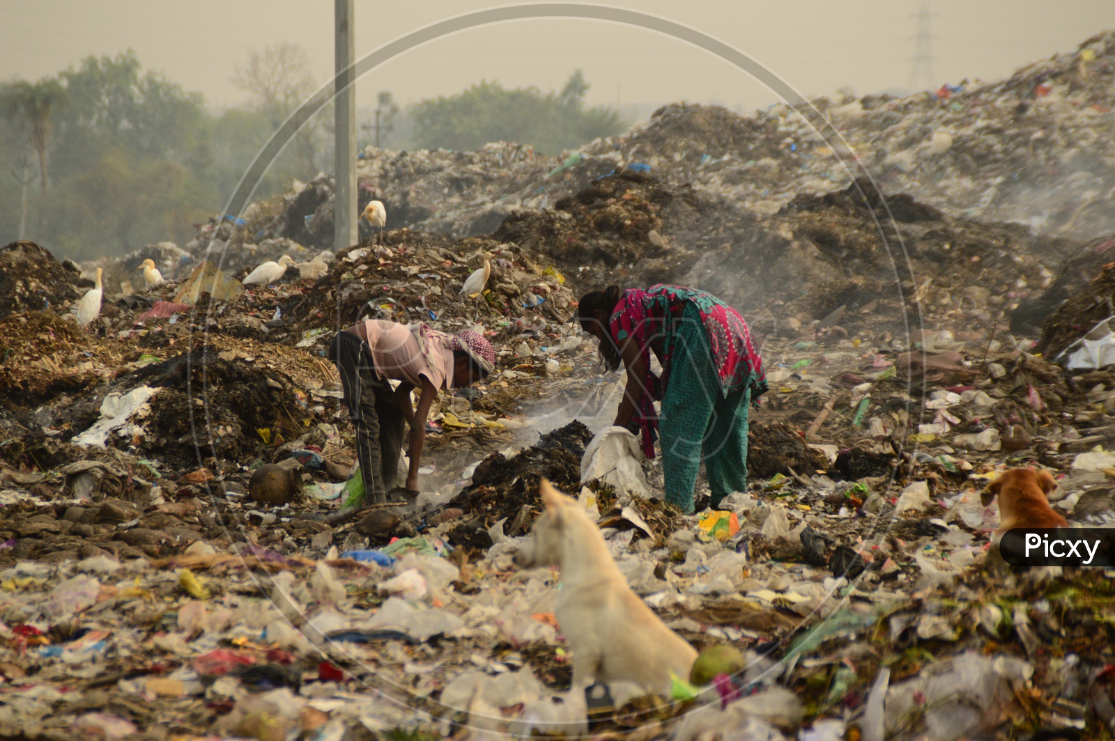 Unidentified Rag Pickers Collecting Recyclable Materials From Garbage Dumping Yard