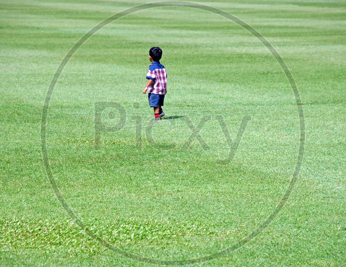 A Little Boy Walking In a Lawn Garden