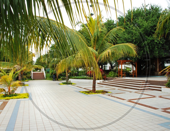 Pathways In a Resort With Coconut Trees On Both Sides