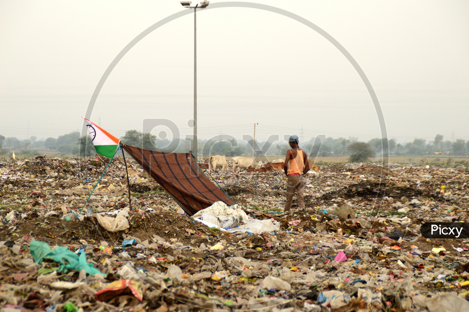 Unidentified Rag Pickers Collecting Recyclable Materials From Garbage Dump Yard