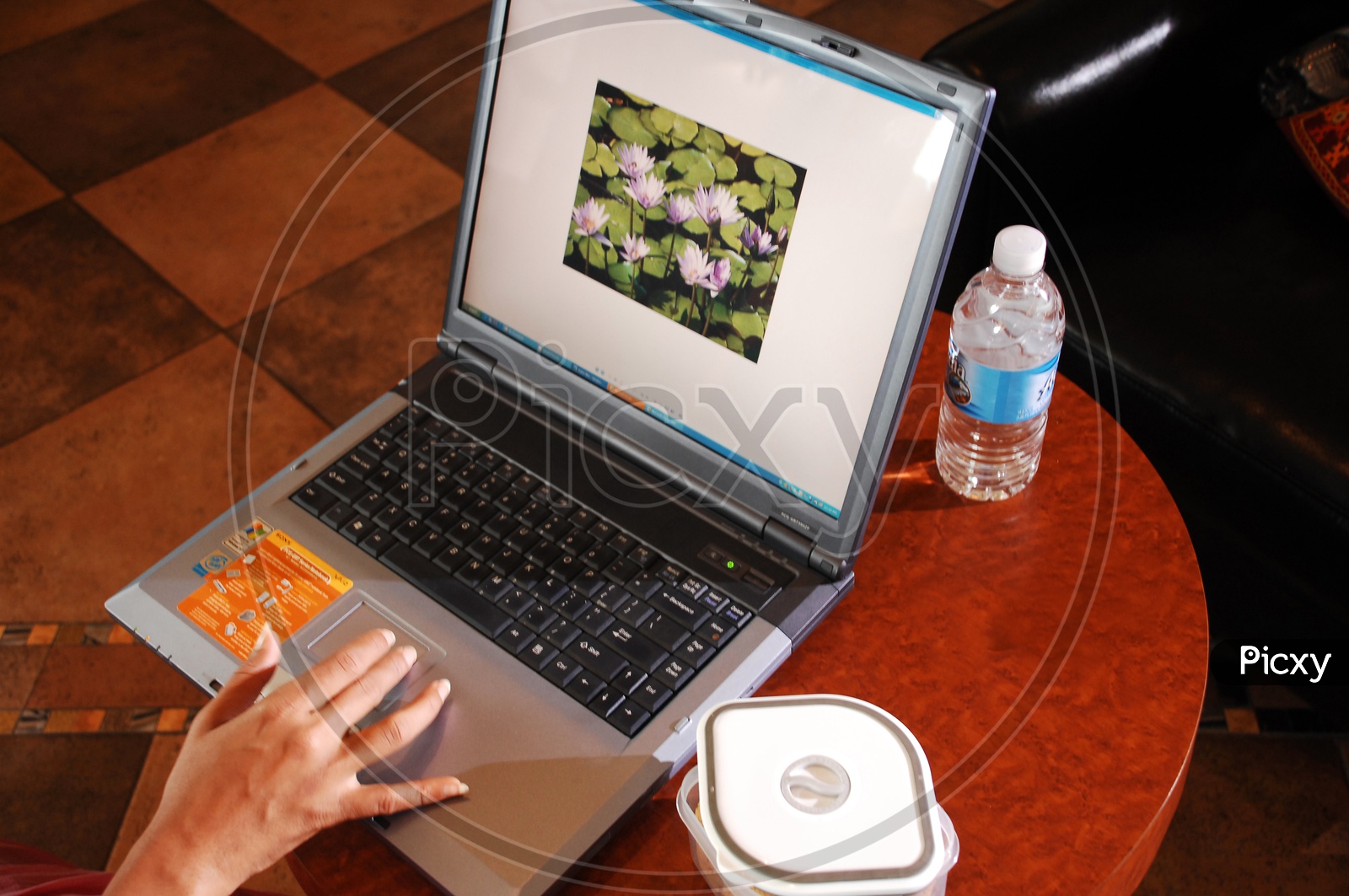 A woman looking pictures on a laptop