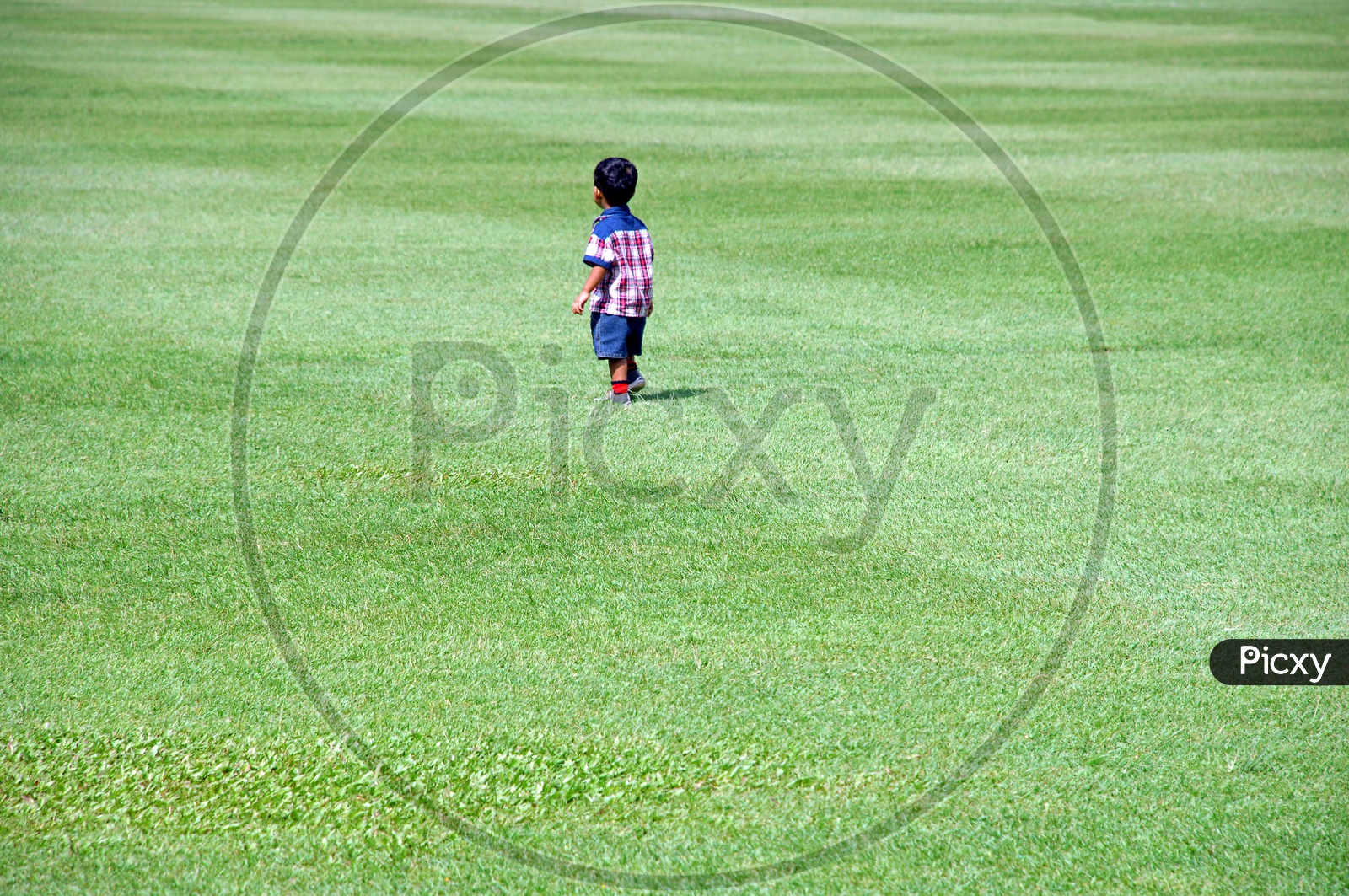 A Little Boy Walking In a Lawn Garden