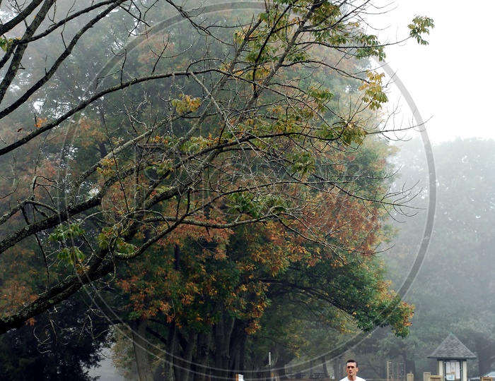 A man jogging during morning