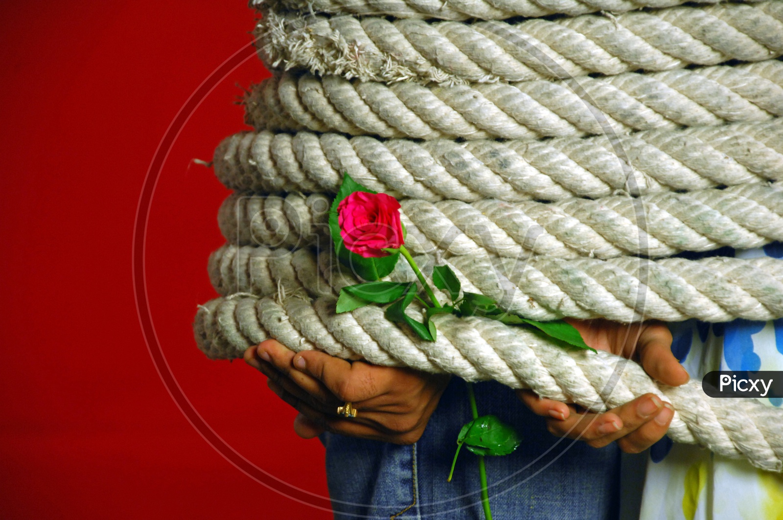 Lovers Or Couple Tied With a Rope With Rose Flower In Their Hand