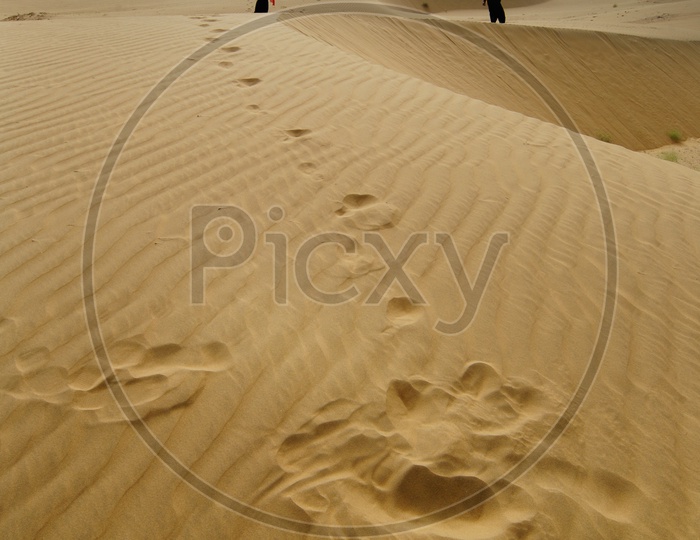 Foot Prints of people in the desert
