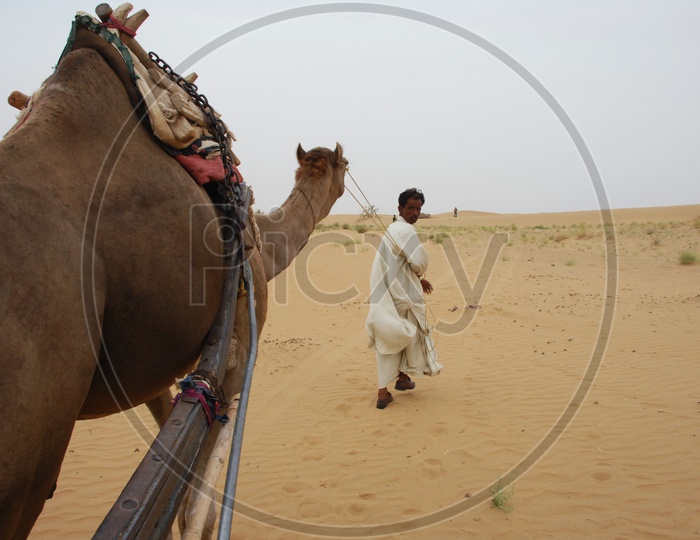 A camel herder with a camel in a desert