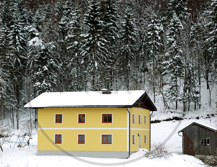 House and trees covered in snow