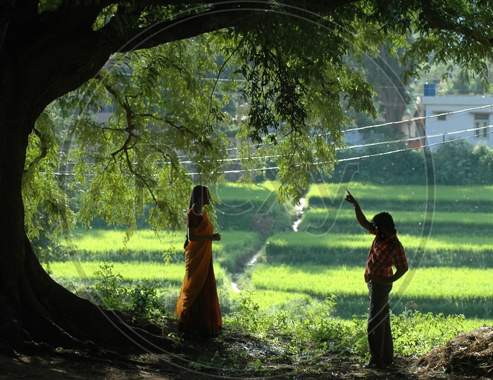 A man and a woman standing under a tree near a field