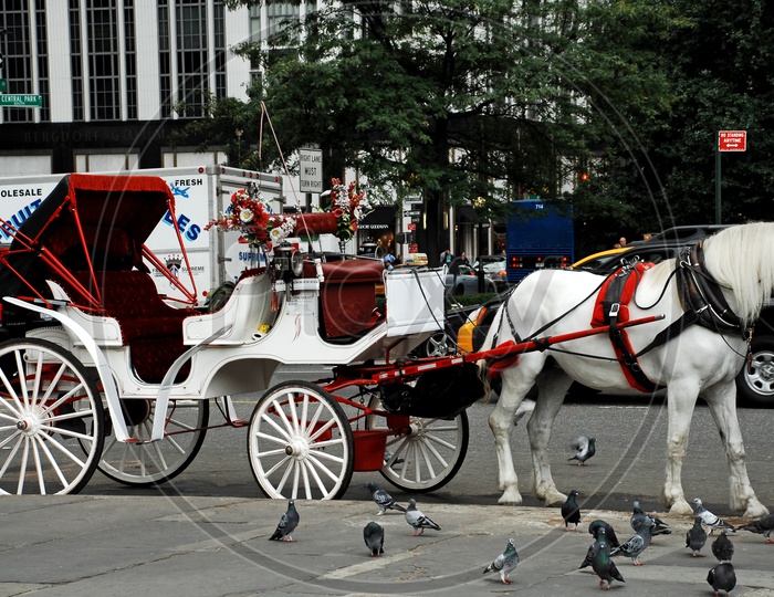 A Chariot