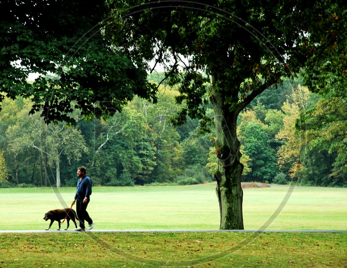 A man taking his pet for a walk