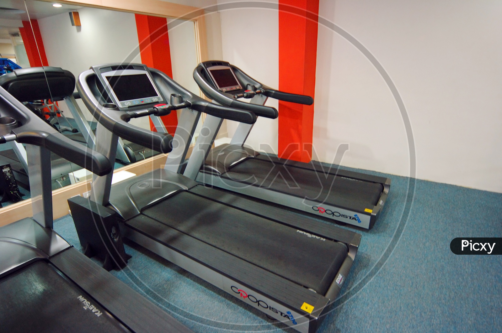 Treadmills in the gym - Gym equipment