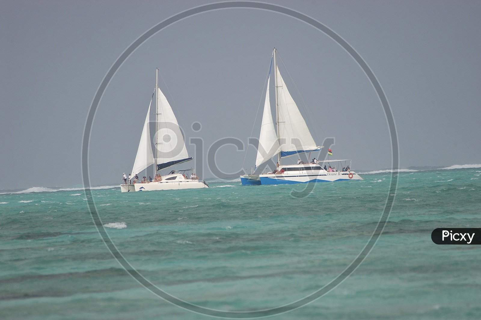 Sailing boats in the sea