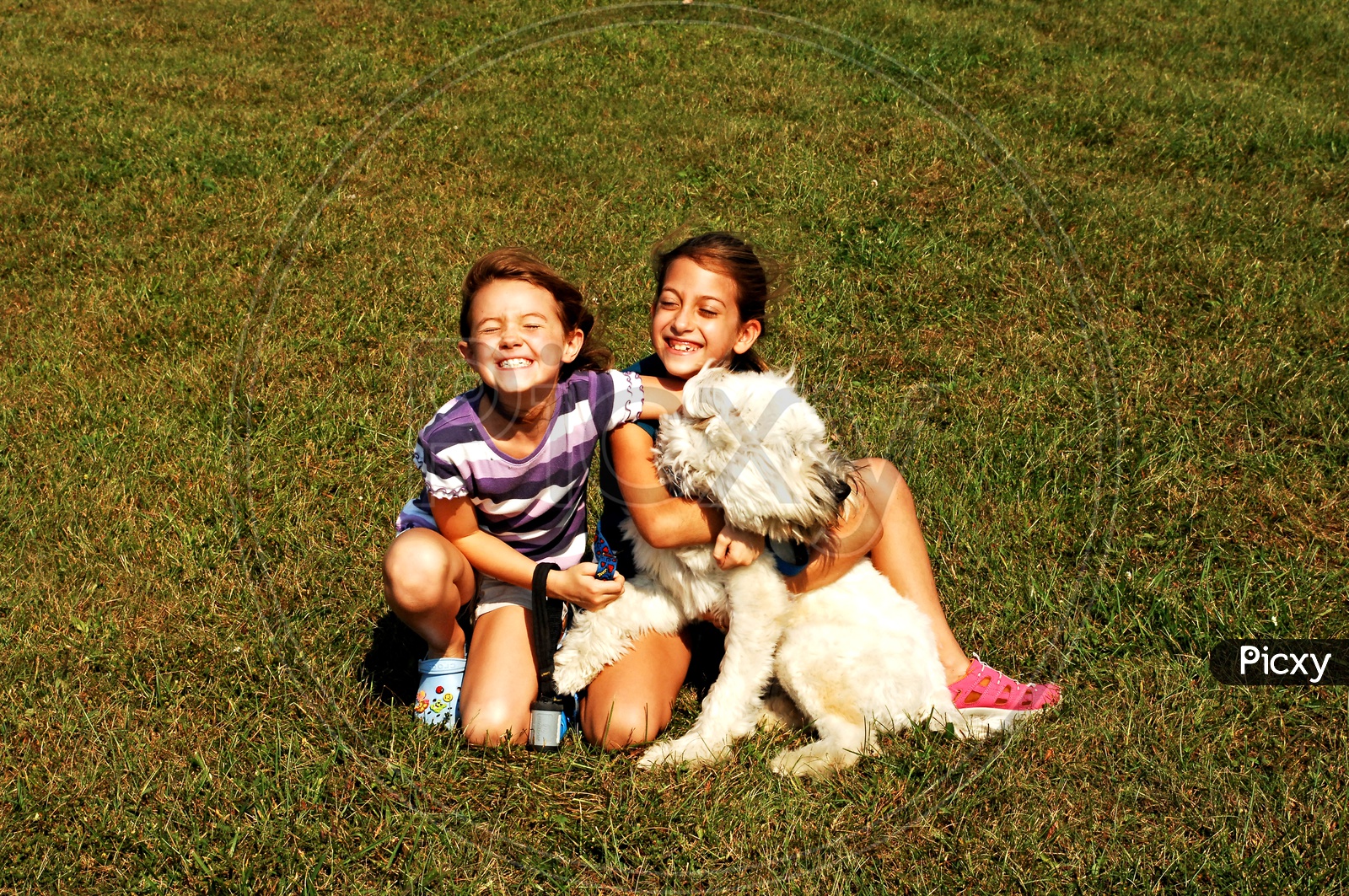 Two little girls playing with their pet