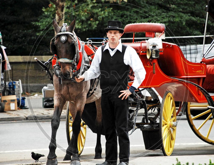 Horse-Drawn Carriage and it's Driver
