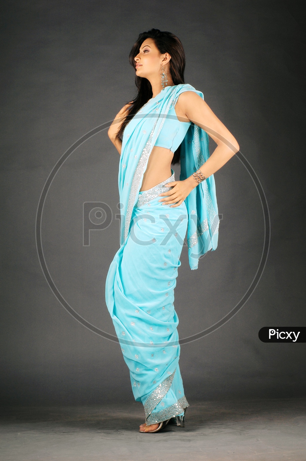 A female model in blue saree posing in a studio